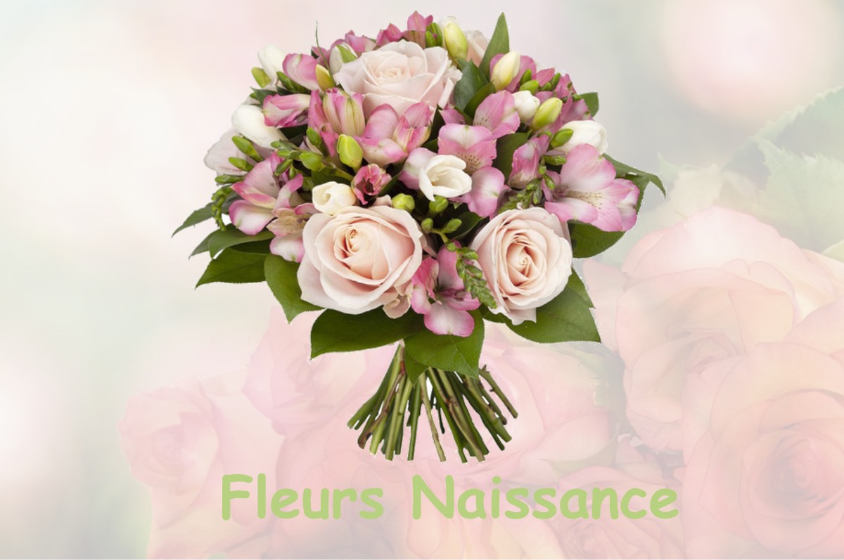 fleurs naissance LE-FRECHET