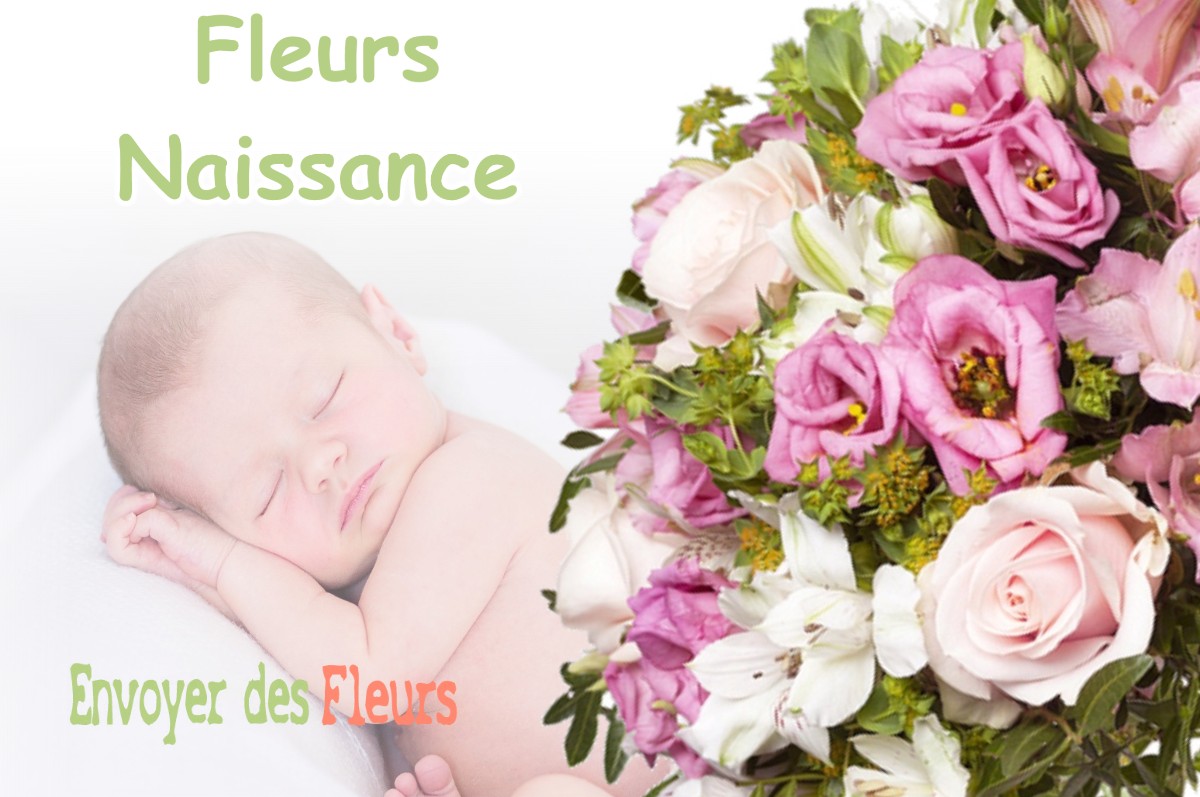 lIVRAISON FLEURS NAISSANCE à LE-FRECHET